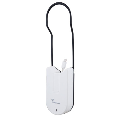Powerbank MUL-T-LOCK для контролера ENTR
