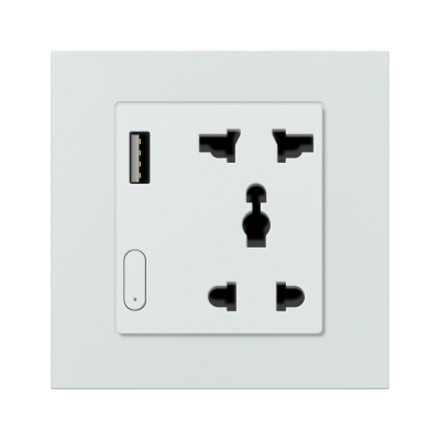 ZigBee умная розетка с USB Akubela (белая)