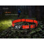 Фонарь налобный Fenix HP12R-TRd красный