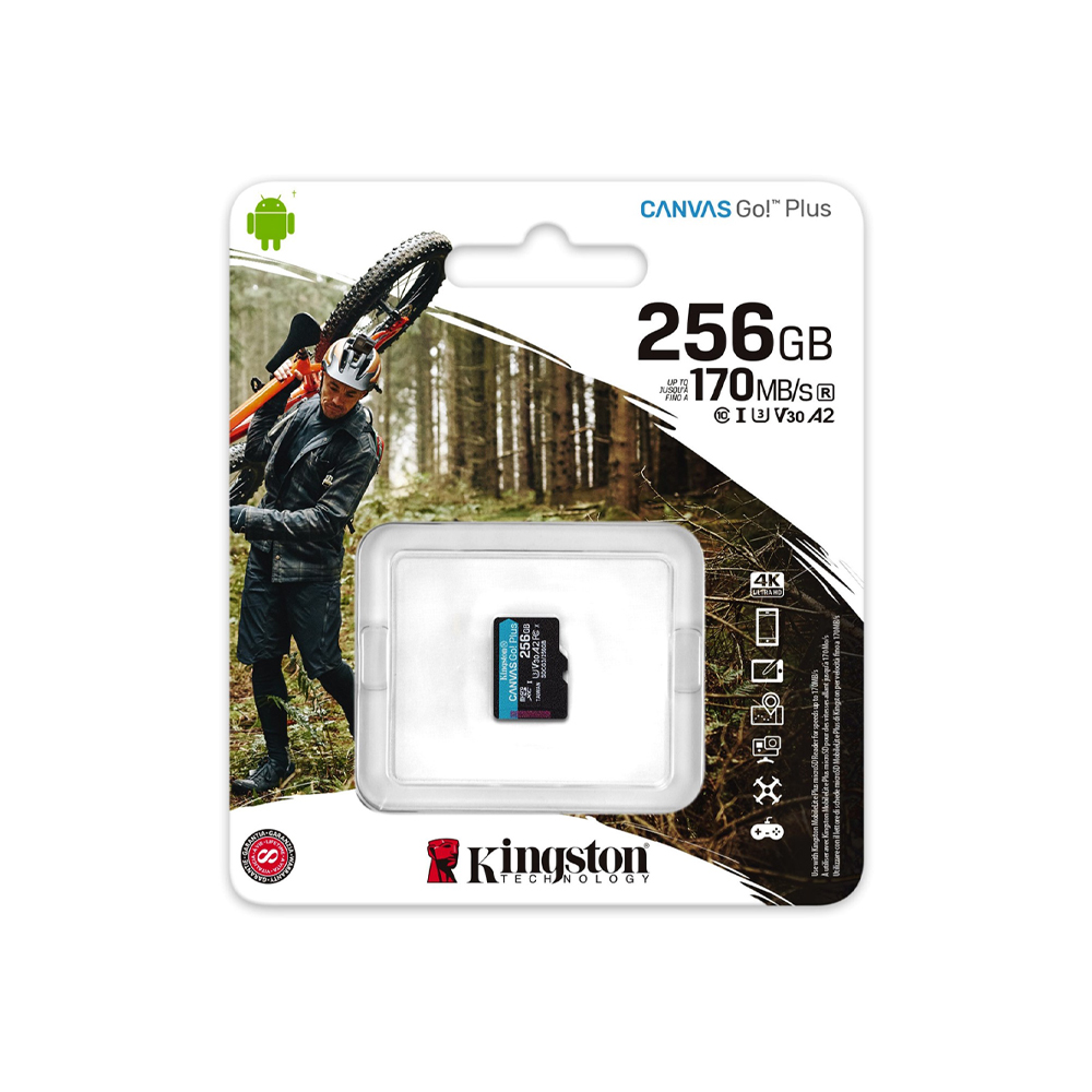 Карта памяти Kingston MicroSDXC 256 GB Canvas Go! Plus Class 10 UHS-I U3 V30 A2 (SDCG3/256GBSP)