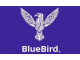 BlueBird