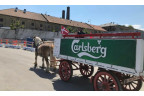 Система відеоспостереження Partizan на сторожі будівництва офісного центру Carlsberg