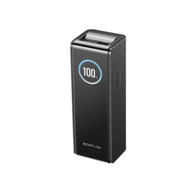 Павербанк EcoFlow RAPID Power Bank 25000mAh чорний