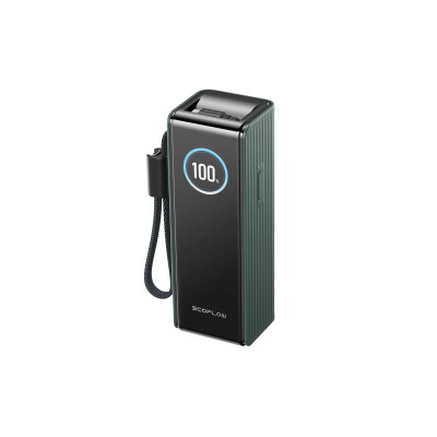 Павербанк EcoFlow RAPID Power Bank с кабелями 25000mAh зеленый