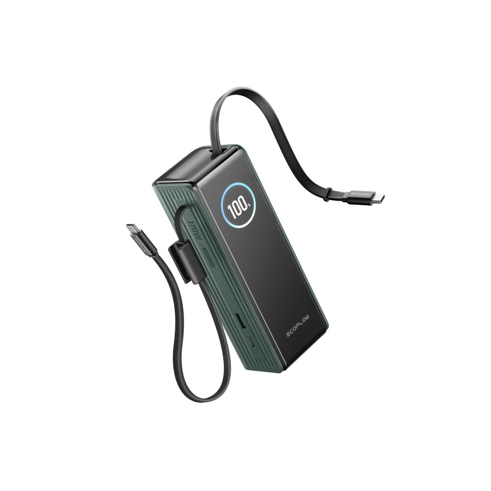 Павербанк EcoFlow RAPID Power Bank с кабелями 25000mAh зеленый
