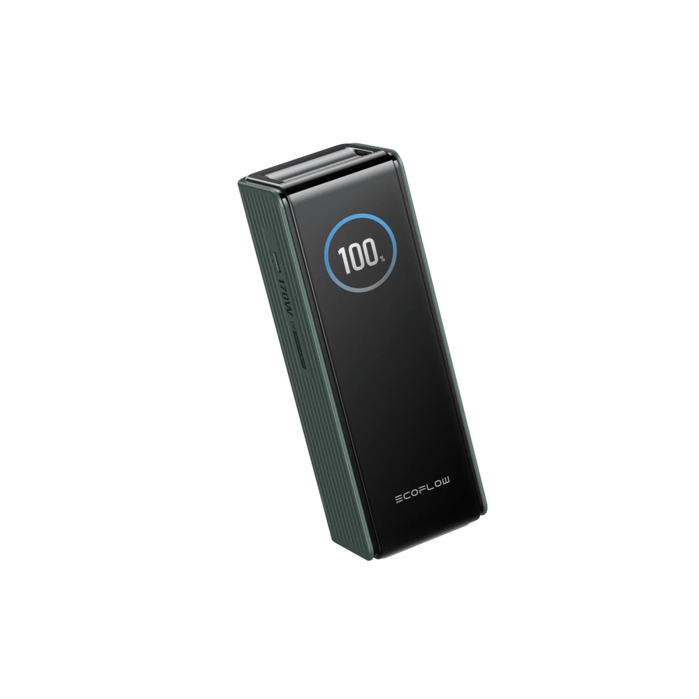 Павербанк EcoFlow RAPID Power Bank 25000mAh зеленый