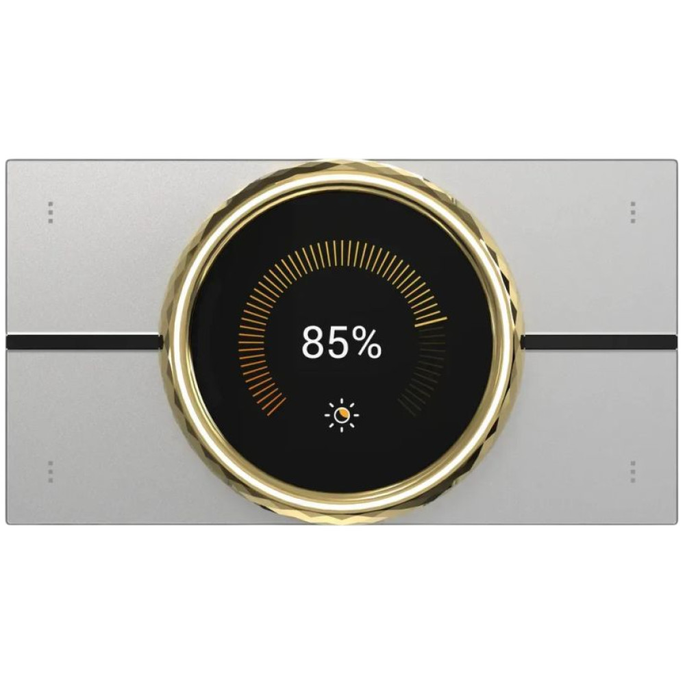 HyPanel LUX RT61-PoE-EU Gold - Центральна панель керування Akubela