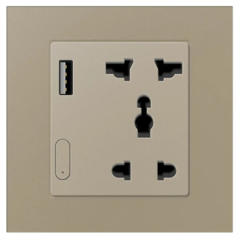 ZigBee умная розетка с USB Akubela SM-1023N Gold