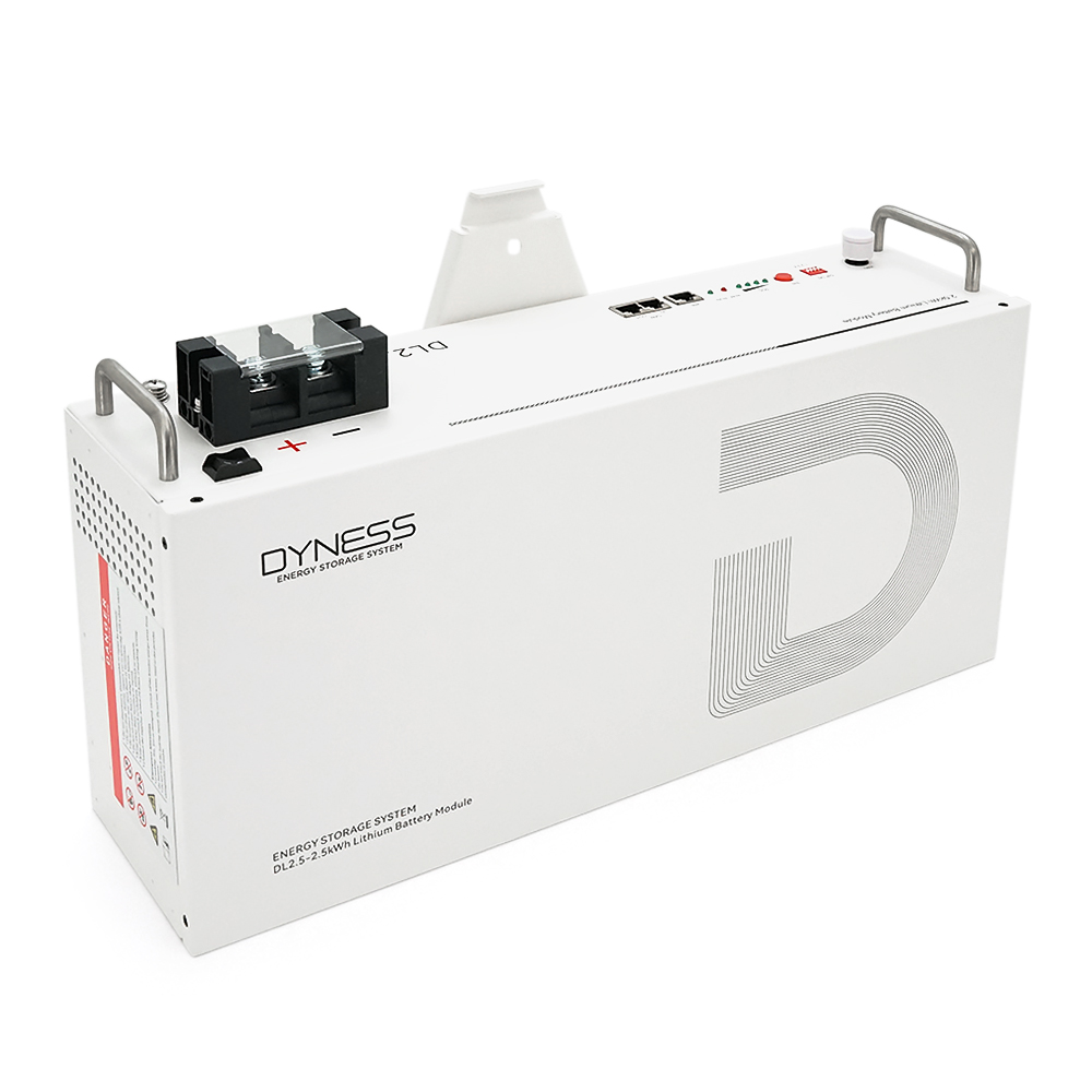 Литиевая аккумуляторная батарея Dyness DL2.5, 25.6V/100Аh