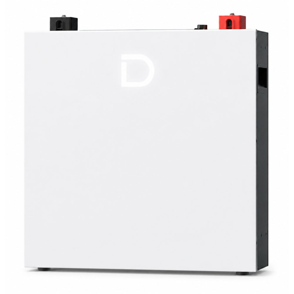 Акумулятор LiFePO4 для інвертора Dyness DL5.0C PRO 5.12 kWh 51.2 V 100 Ah з підігрівом та Wi-Fi модулем