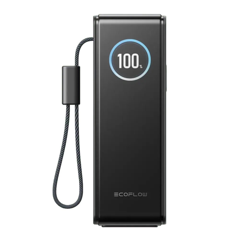 Павербанк EcoFlow RAPID Power Bank з кабелями 25000mAh чорний