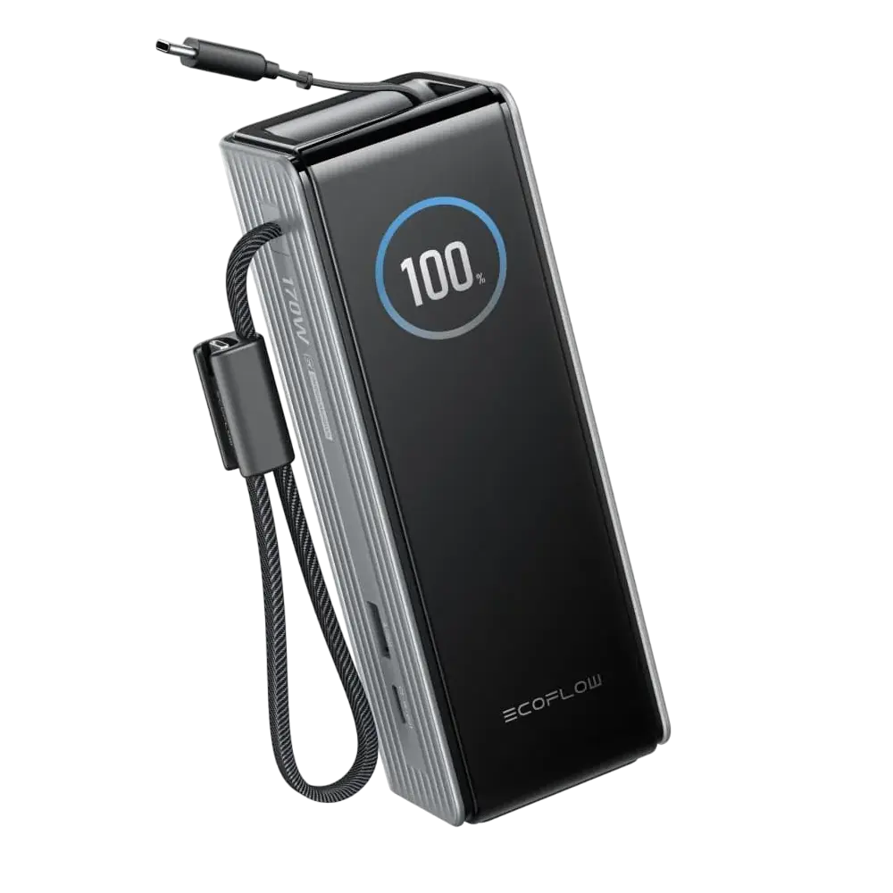 Павербанк EcoFlow RAPID Power Bank з кабелями 25000mAh чорний