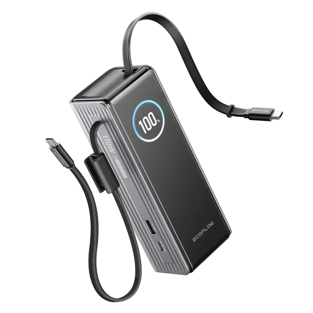 Павербанк EcoFlow RAPID Power Bank з кабелями 25000mAh чорний