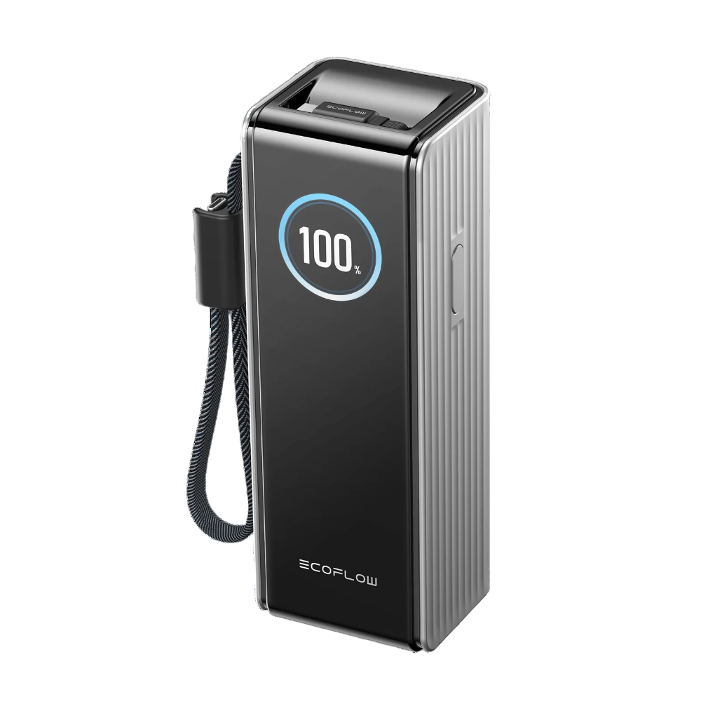 Павербанк EcoFlow RAPID Power Bank з кабелями 25000mAh сріблястий
