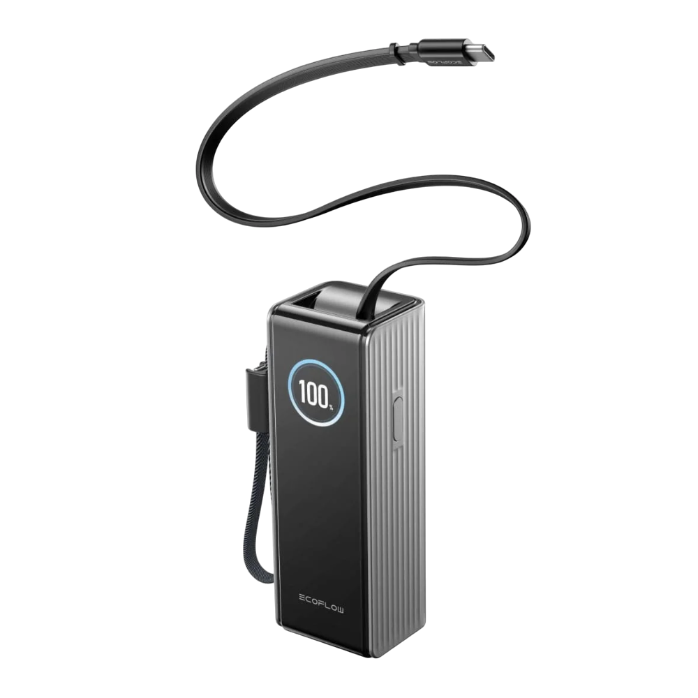 Павербанк EcoFlow RAPID Power Bank з кабелями 25000mAh сріблястий