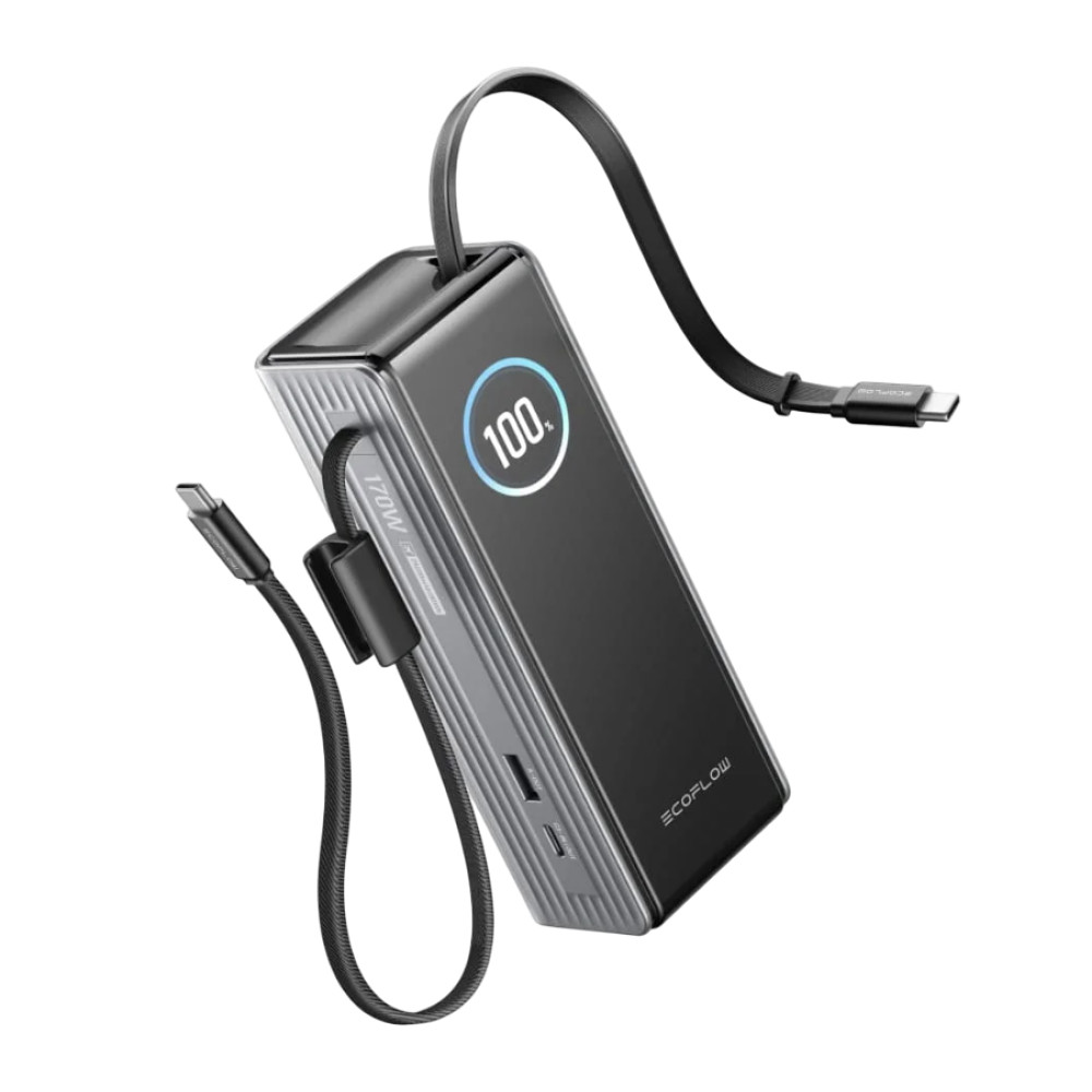 Павербанк EcoFlow RAPID Power Bank з кабелями 25000mAh сріблястий