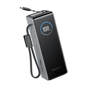 Павербанк EcoFlow RAPID Power Bank с кабелями 25000mAh серебристый