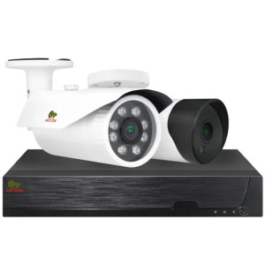 Комплект відеоспостереження Partizan PRO AHD-36 2xCAM + 1xDVR + HDD
