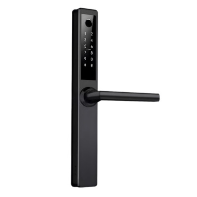 Smart замок TTLOCK REX (black)