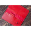 Дорожный органайзер для документов с RFID защитой LOCKER's LT-Red