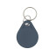 Ключ Trinix Proxymity-key RW GRAY
