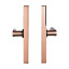 Замок біометричний автономний Trinix TRL-5402BTF Bronze