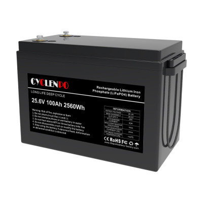 Акумуляторна батарея Cyclen 25.6V 100AH LiFePo4