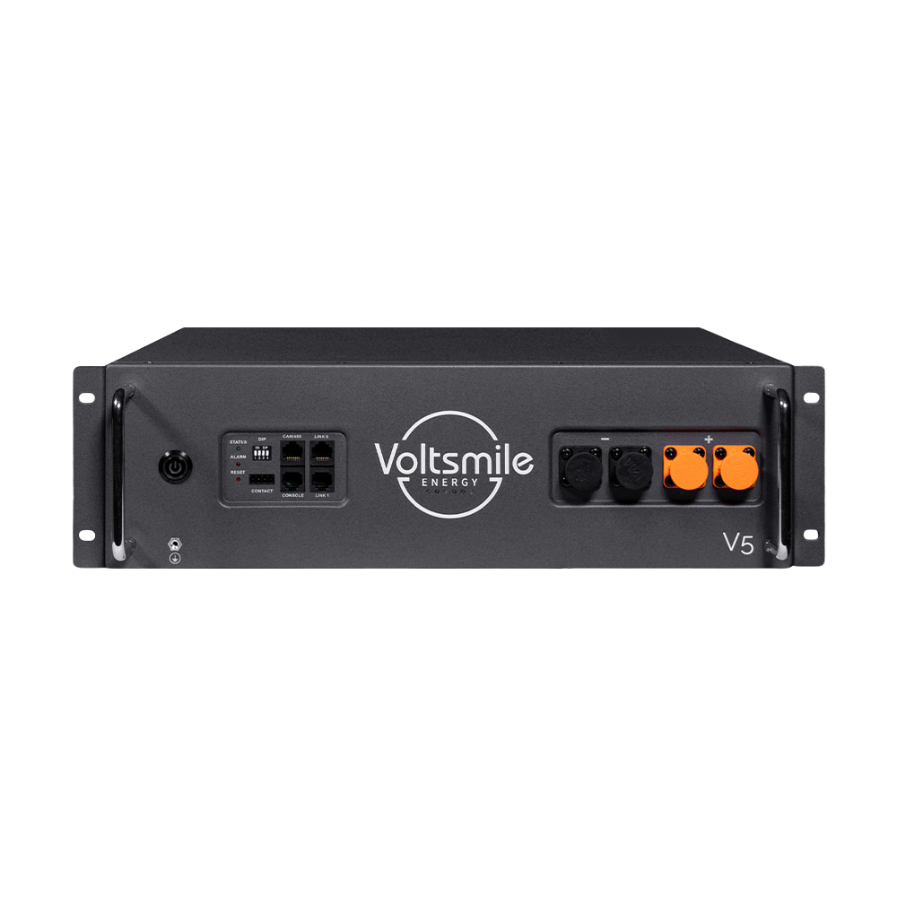 Аккумуляторная батарея LiFePO4 48В 2400Втг Voltsmile V5 монтаж в стойку 19"