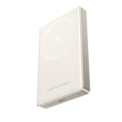 Повербанк Choetech B739 Silver QC3.0 PD3.0 10000mAh бездротова магнітна зарядка
