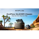 Сумка EcoFlow Glacier Bag