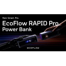 Зарядна станція EcoFlow Rapid Pro 320W station