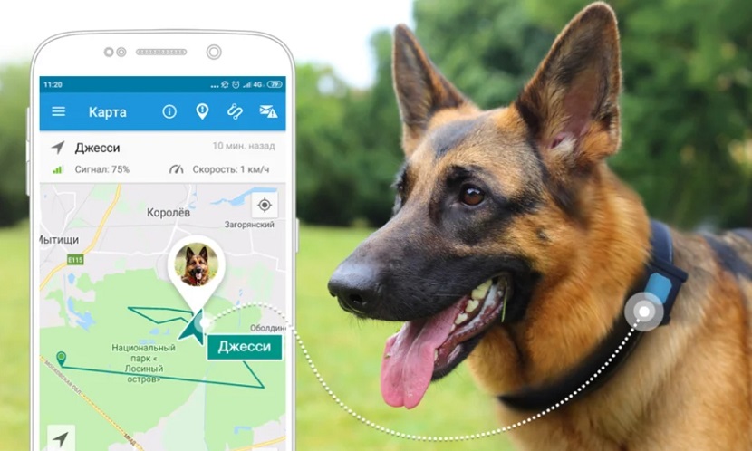 Рекомендації щодо вибору кращого GPS-трекера - Зображення 1 - Зображення 2