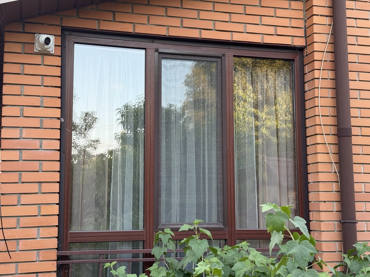 Фото 9 увеличено